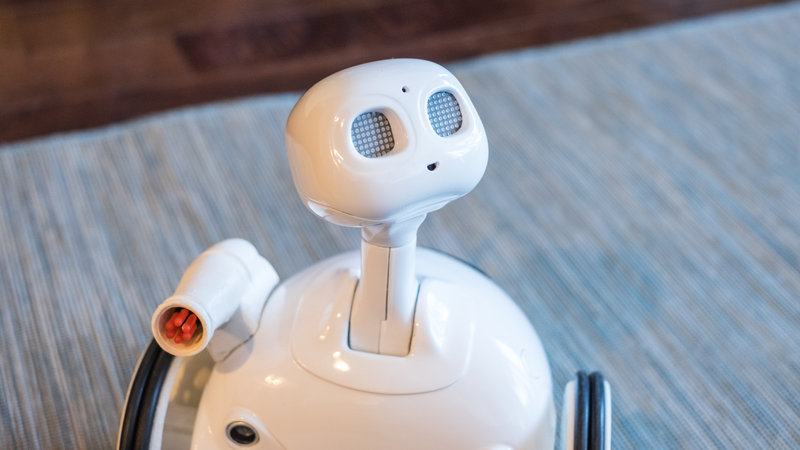 Illustration for article titled I Fell In Love With This Adorable Home Robot